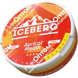 ICEBERG - Apricot Melon (120mg)